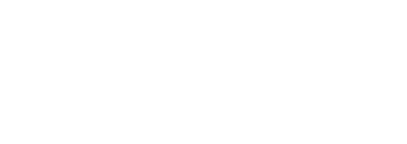 221 Velvet