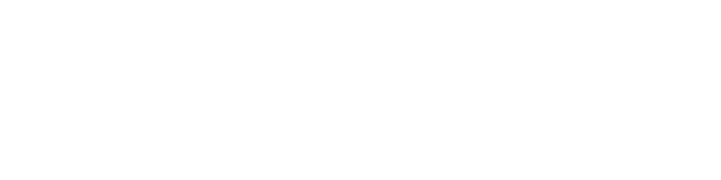 878 Bondi Vet